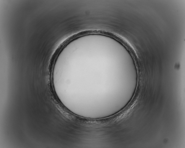 X0000100410927200806060922