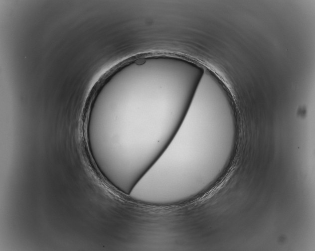 X0000100410928200806060922