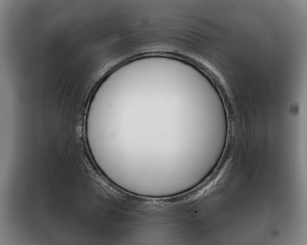 X0000100410929200806060922