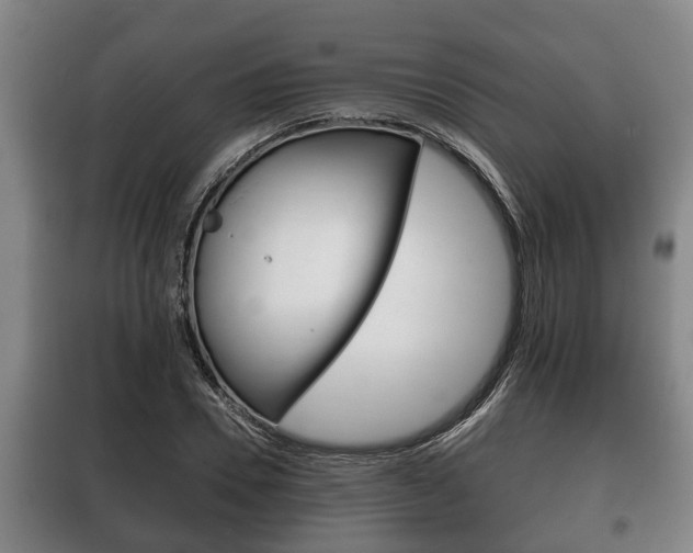 X0000100410930200806060922