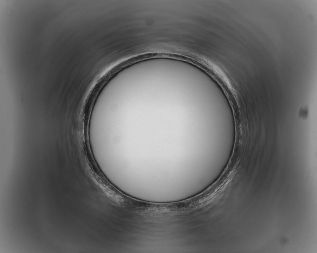 X0000100410931200806060922