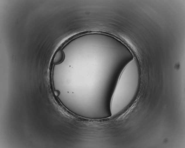 X0000100410932200806060922