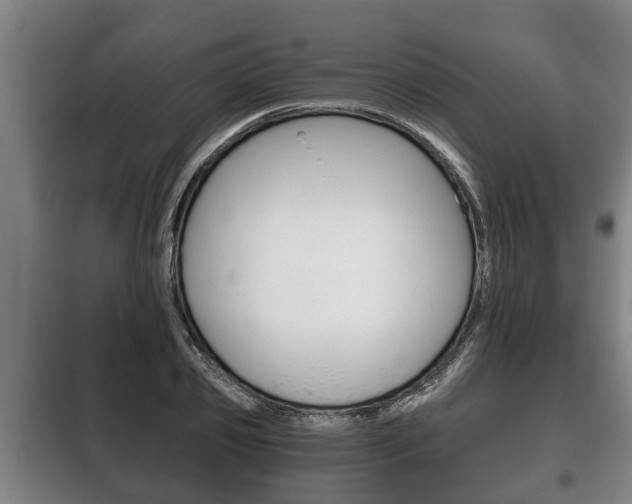 X0000100410933200806060922