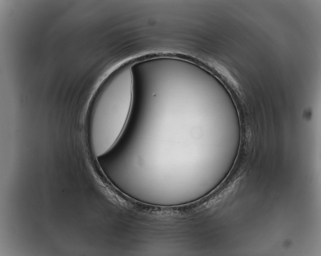 X0000100410934200806060922