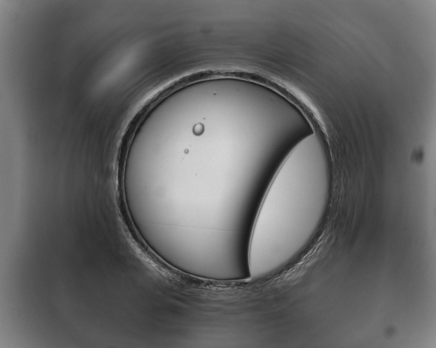 X0000100410935200806060922