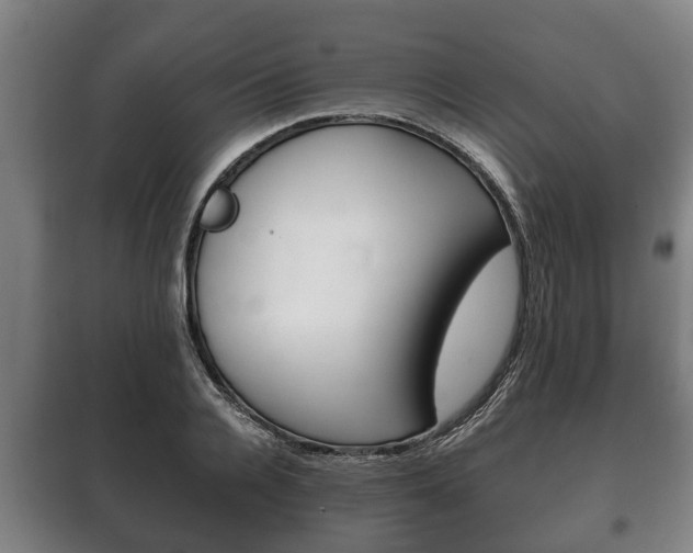 X0000100410936200806060922