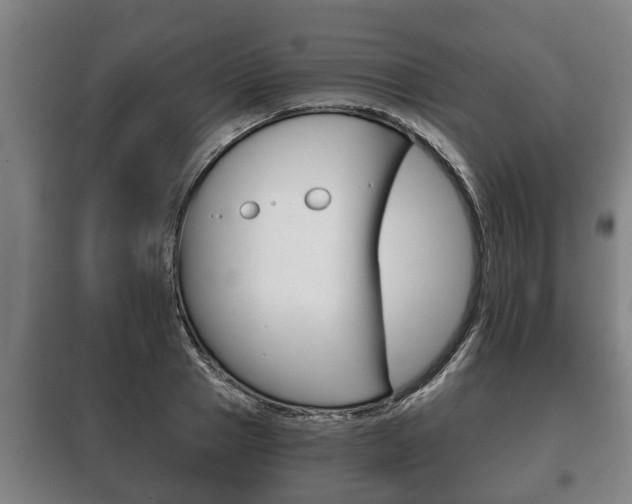 X0000100410937200806060922