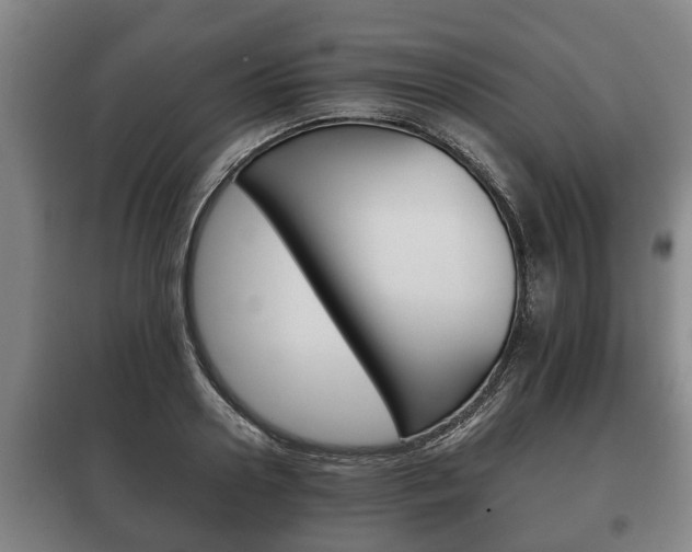 X0000100410938200806060922