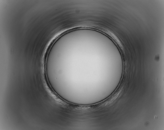 X0000100410939200806060922