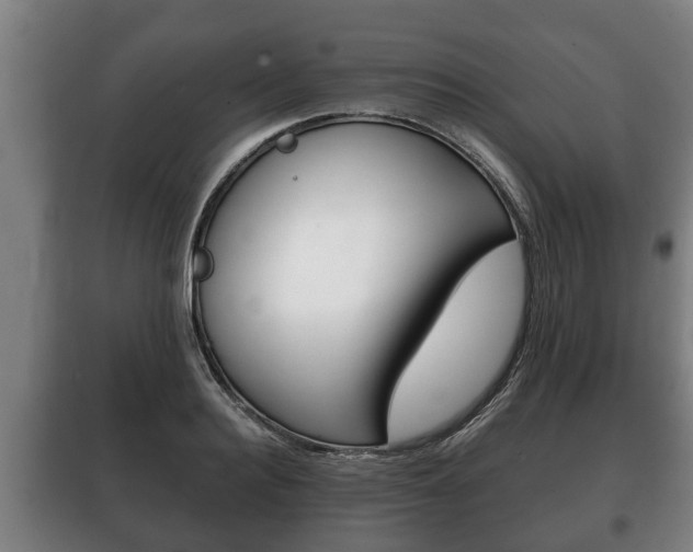 X0000100410940200806060922