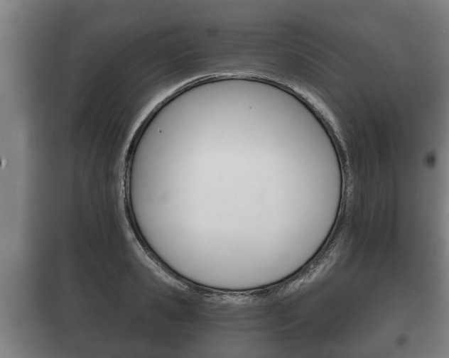 X0000100410941200806060922