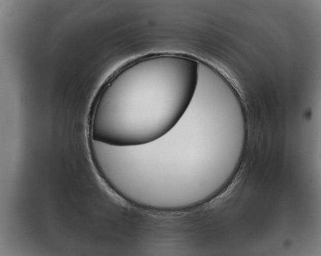 X0000100410942200806060922