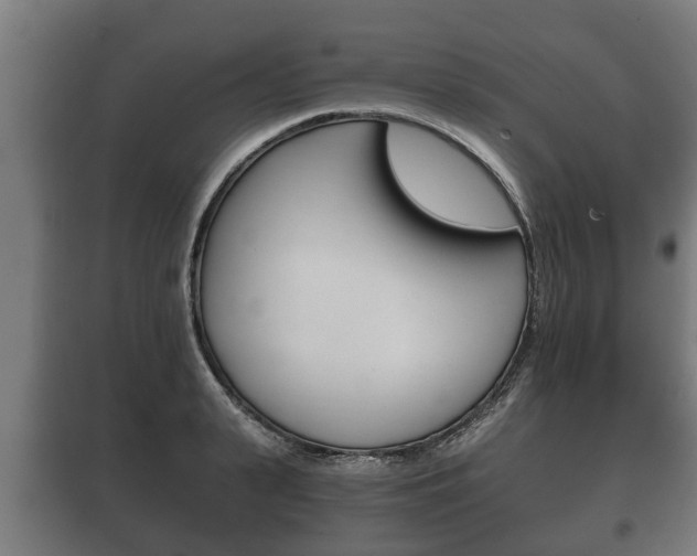 X0000100410943200806060922