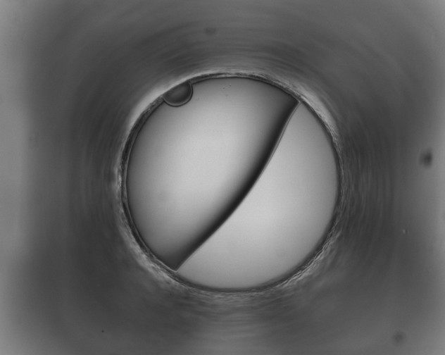 X0000100410944200806060922