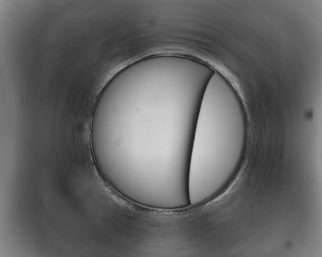 X0000100410945200806060922