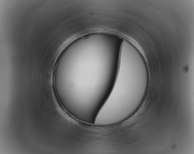 X0000100410946200806060922