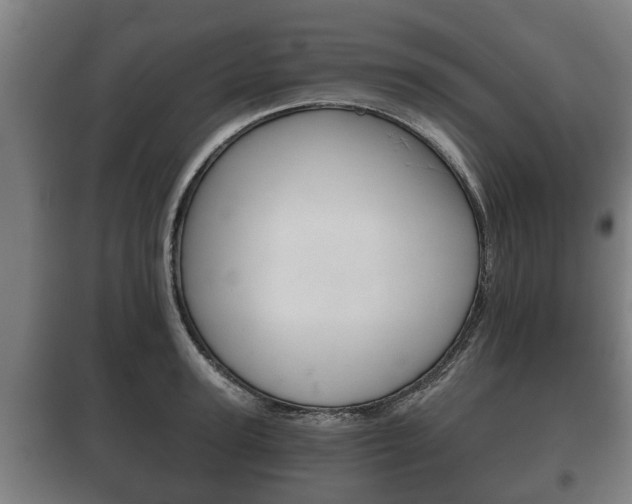 X0000100410947200806060922