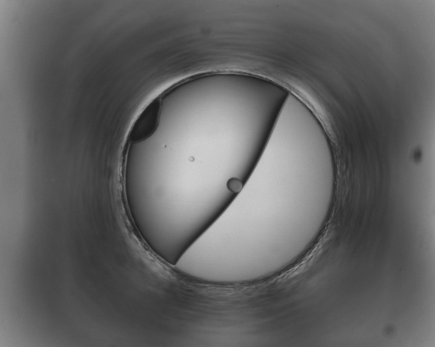 X0000100410948200806060922