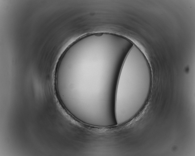 X0000100410949200806060922