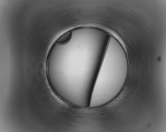 X0000100410951200806060922