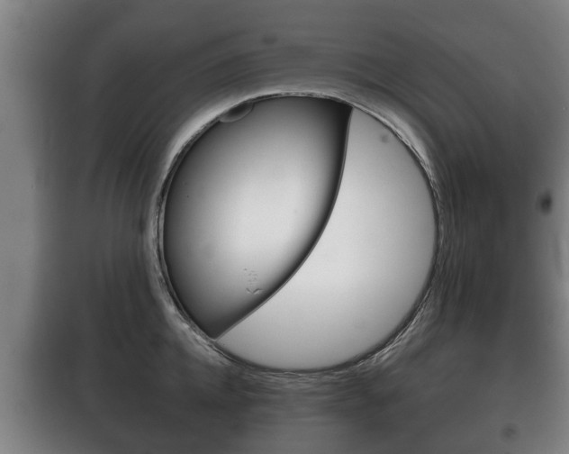 X0000100410952200806060922