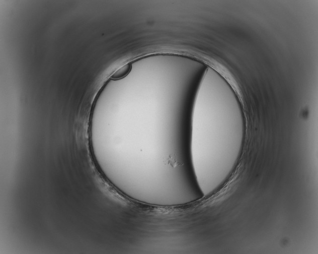 X0000100410954200806060922
