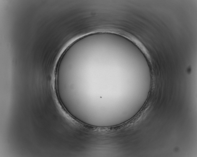X0000100410955200806060922