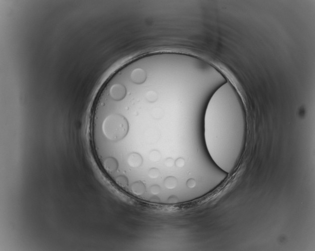 X0000100410957200806060922