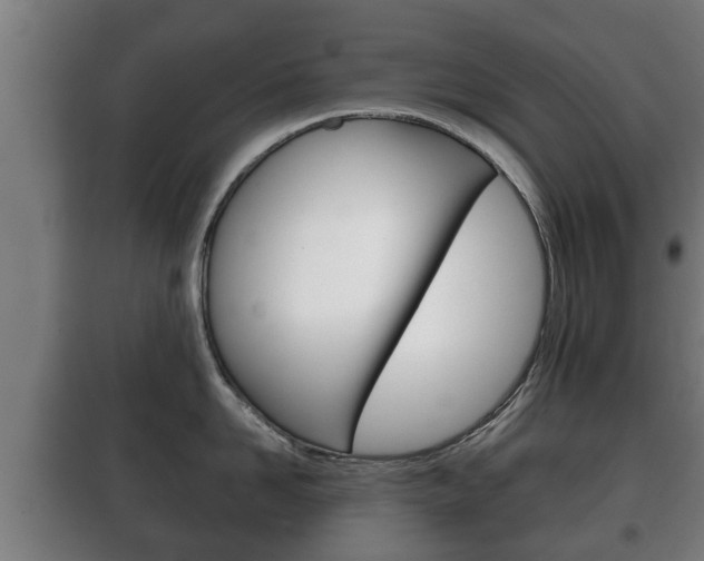 X0000100410958200806060922