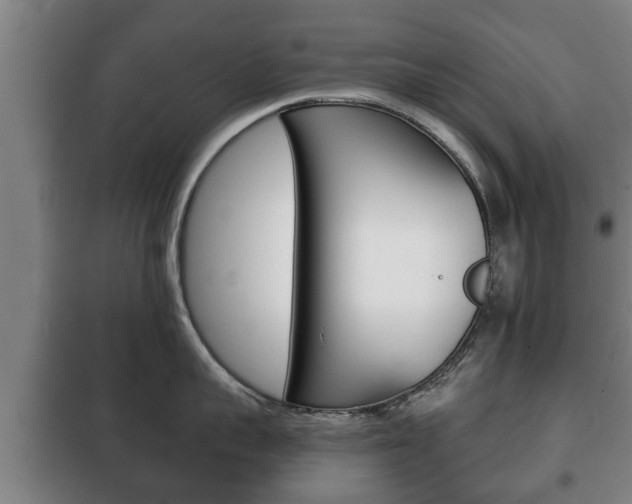 X0000100410959200806060922