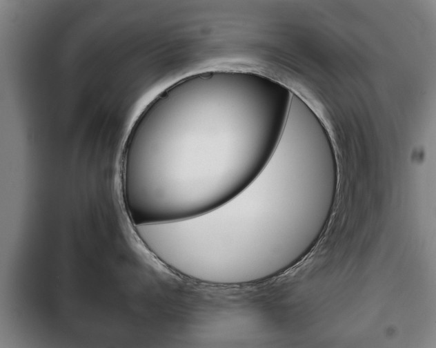 X0000100410960200806060922