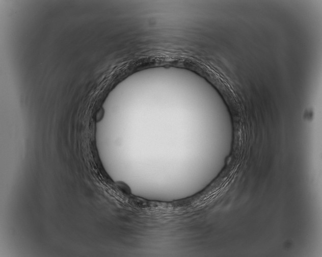 X0000100410961200806060921