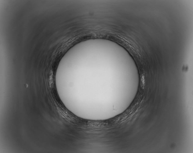 X0000100410963200806060921