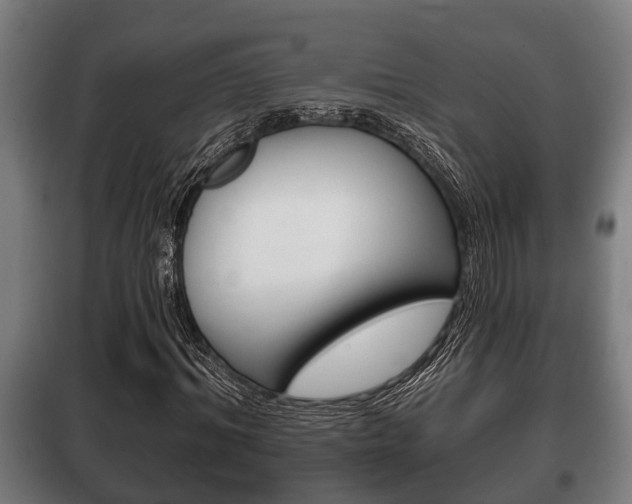 X0000100410964200806060921