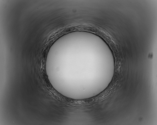 X0000100410966200806060921