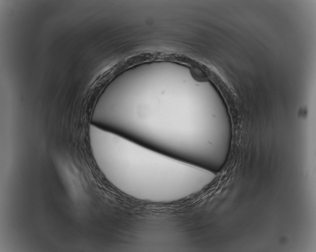 X0000100410967200806060921