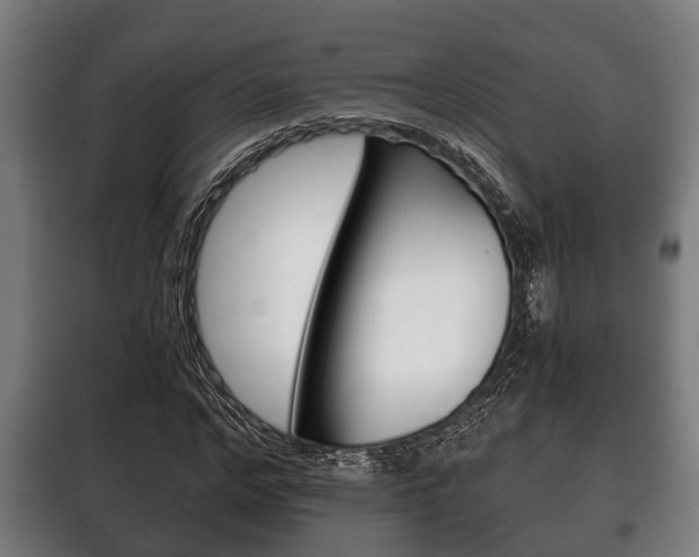 X0000100410968200806060921