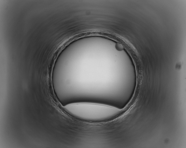 X0000100410969200806060921