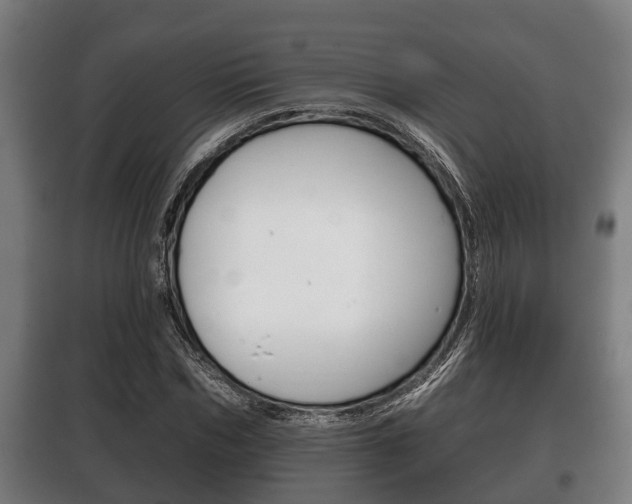 X0000100410970200806060921