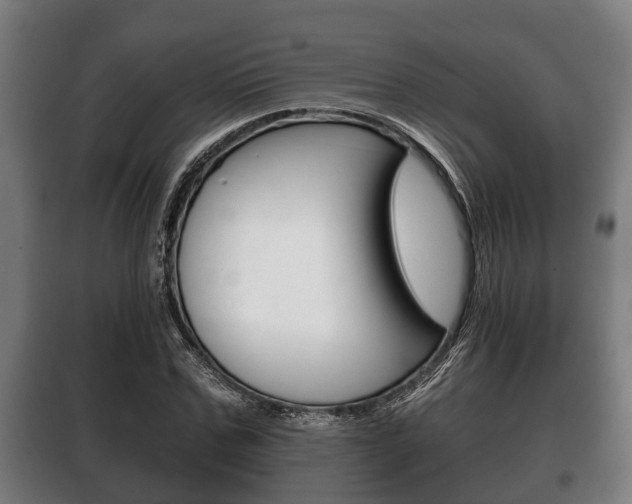 X0000100410971200806060921