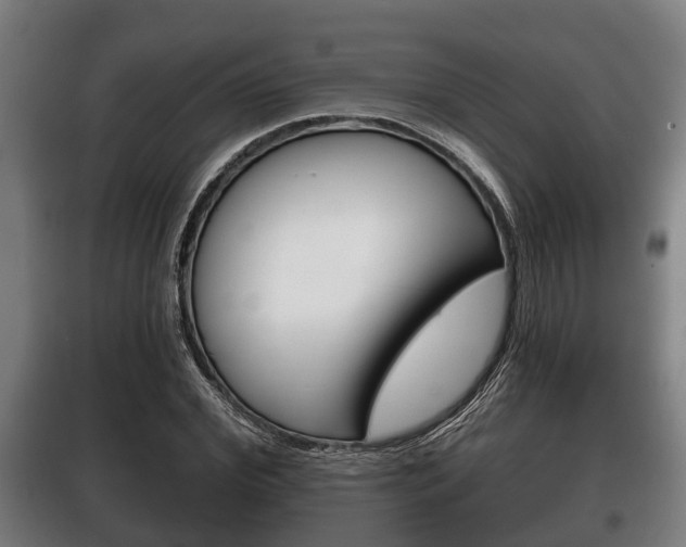 X0000100410972200806060921