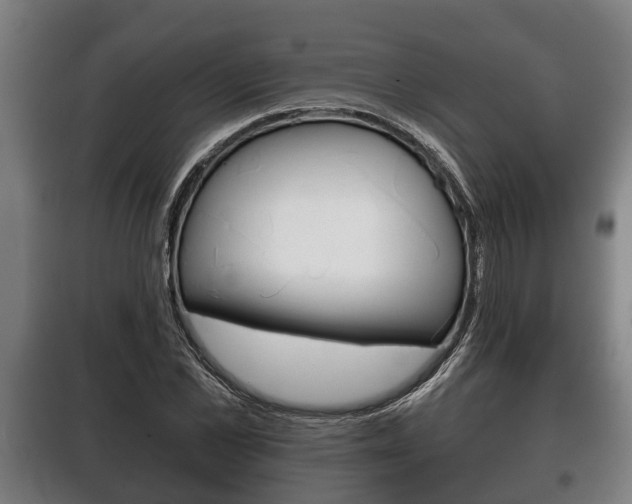 X0000100410973200806060921