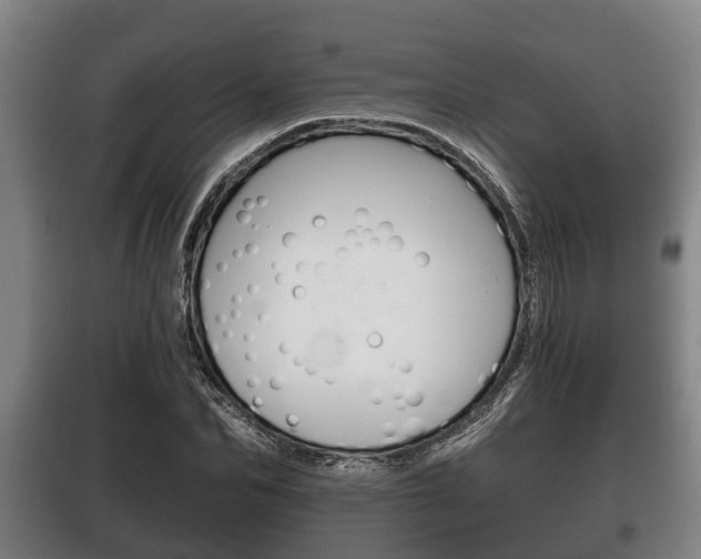 X0000100410974200806060921