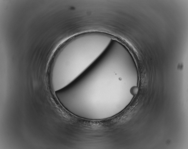 X0000100410975200806060921
