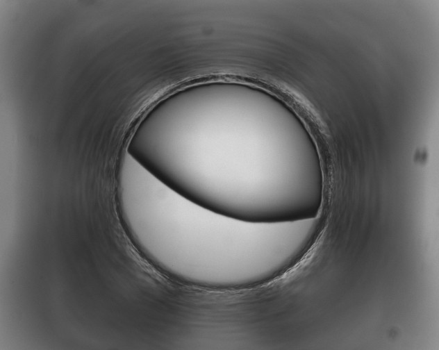 X0000100410977200806060921