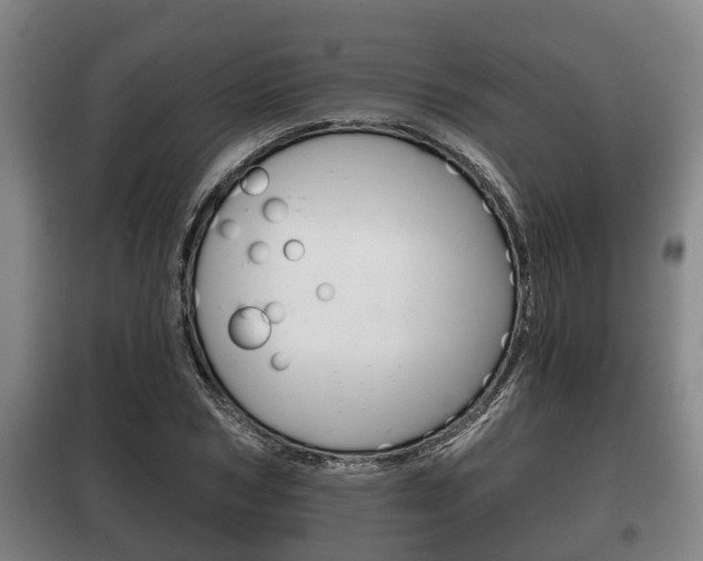 X0000100410978200806060921