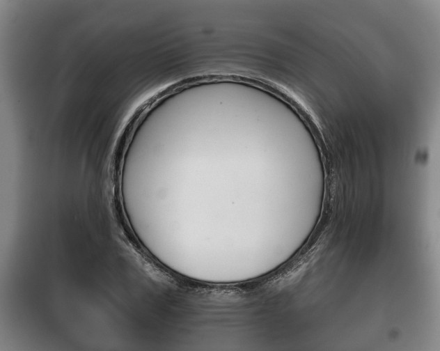 X0000100410979200806060921