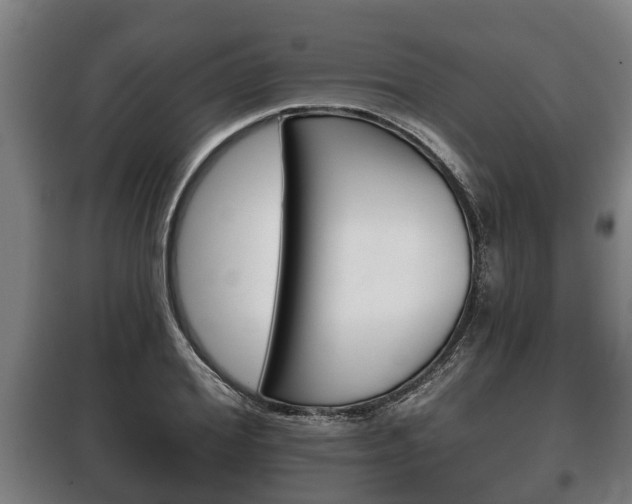 X0000100410980200806060921