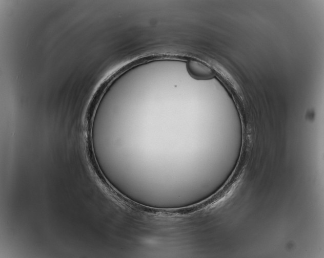 X0000100410981200806060921