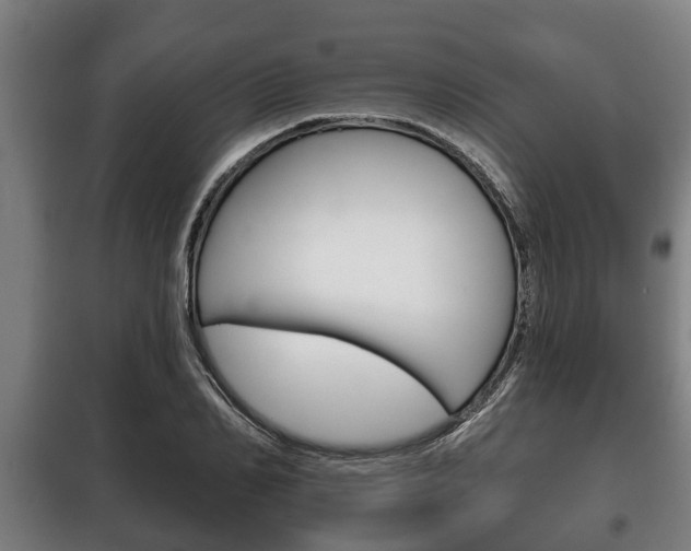 X0000100410982200806060921